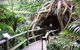 Tamborine Mountain Glow Worm Tours - thumb 2