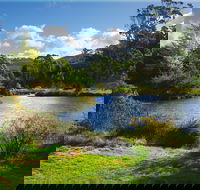 Tasmanian Arboretum Inc. - The - Accommodation QLD