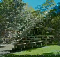 Terania Creek Picnic Area - Accommodation QLD