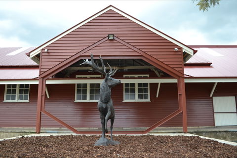 The Somerset Regional Art Gallery - The Condensery - Accommodation QLD 1