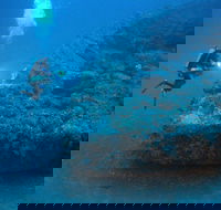 The Zanoni Wreck - Accommodation QLD