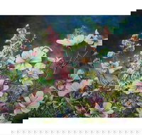 The Homestead Gallery - Accommodation QLD