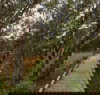 The Briars Park Walking Trails - Accommodation QLD