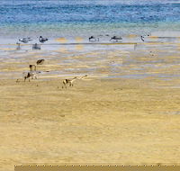 Towra Beach - Accommodation QLD