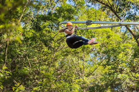 TreeTop Crazy Rider - Accommodation QLD 0