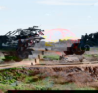 Turbo Buggy Ride - Accommodation QLD