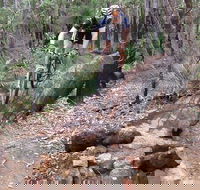 Turner Hill Mountain Bike Trail Murray - Accommodation QLD