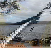 Walpole-Nornalup Inlet - Accommodation QLD