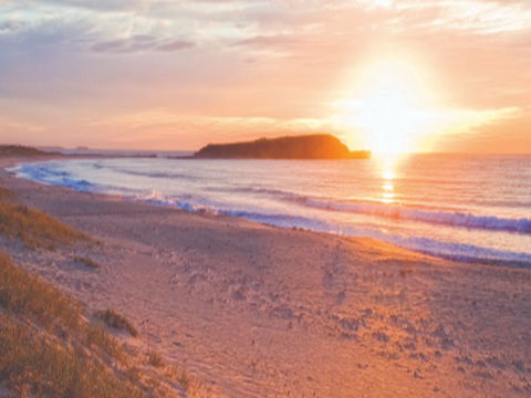Warilla Beach: Shellharbour - Accommodation QLD 0