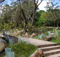 Wentworth Falls picnic area - Accommodation QLD