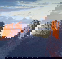 Whitegum lookout - Accommodation QLD