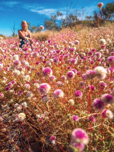 Wineries And Wildflowers - Accommodation QLD 0