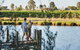 Wineries And Wildflowers - thumb 1