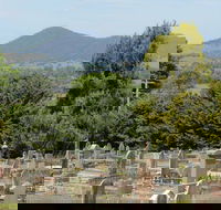 Yackandandah Cemetery - Accommodation QLD