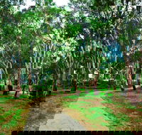 Adungadoo Pathway - Accommodation QLD