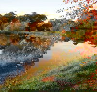 Alpine - Accommodation QLD