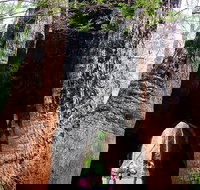 Ancient Empire Walk Valley of the Giants - Accommodation QLD