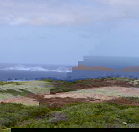 Archipelago of the Recherche