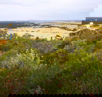 Archer Drive Scenic Drive and Lookout - Accommodation QLD