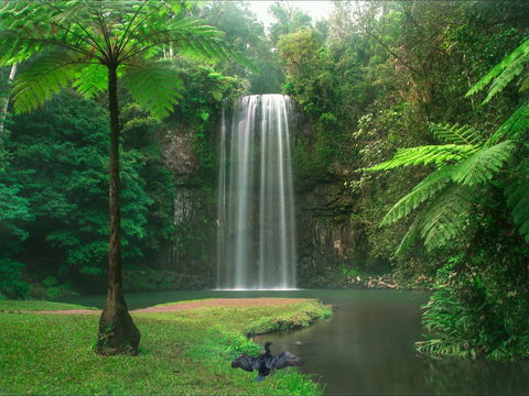 Atherton Tablelands - Accommodation QLD 0