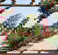 Australian Inland Botanic Gardens - Accommodation QLD