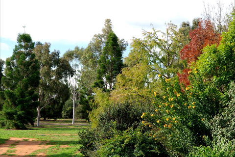 Australian Inland Botanic Gardens - Accommodation QLD 2