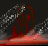 Bangarra Dance Theatre - Accommodation QLD