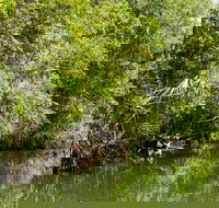 Berry Springs Nature Park - Accommodation QLD