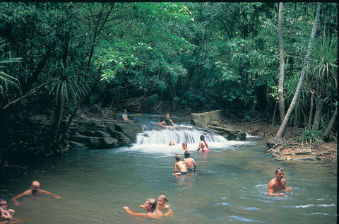 Berry Springs Nature Park - Accommodation QLD 1