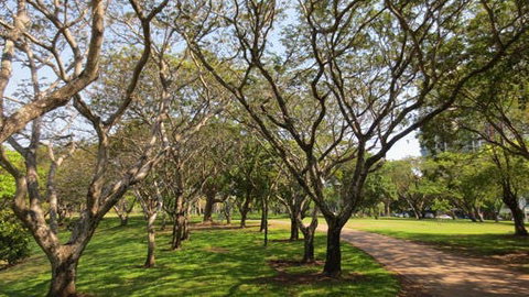 Bicentennial Park - Accommodation QLD 1