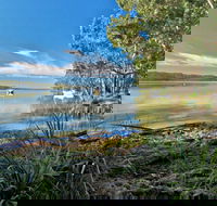 Black Oaks Picnic Area - Accommodation QLD