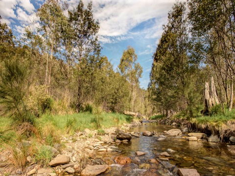 Brindabella National Park - Accommodation QLD 2