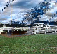Bridge Creek War Memorial Bridge - Accommodation QLD