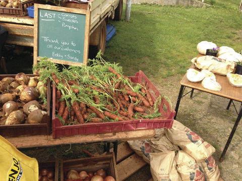 Burnie Farmers Market - Accommodation QLD 0