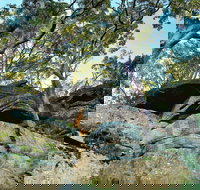 Burrawang Reach Picnic Area - Accommodation QLD