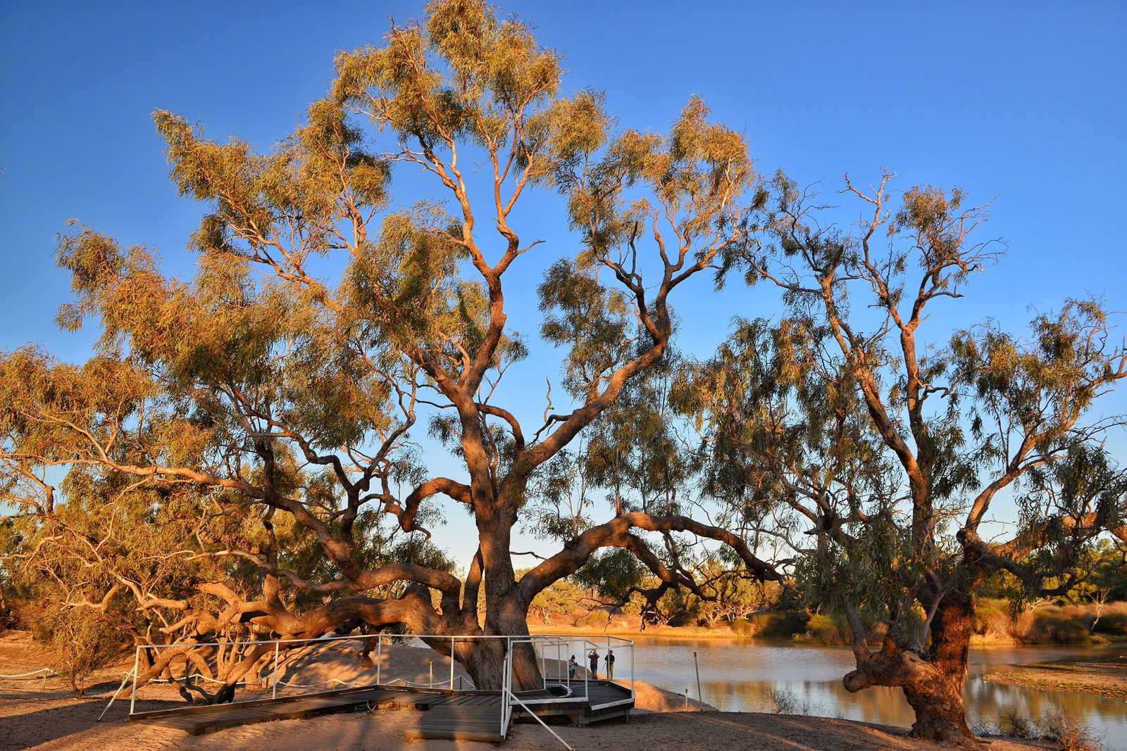 Durham Downs QLD Accommodation QLD