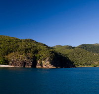 Butterfly Bay - Hook Island - Accommodation QLD