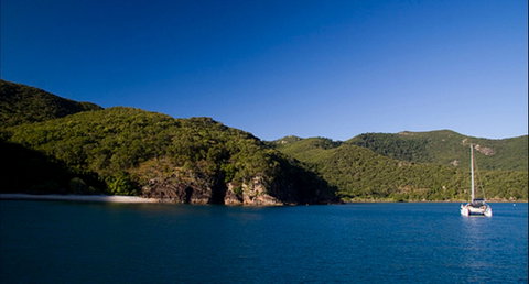 Butterfly Bay - Hook Island - Accommodation QLD 0
