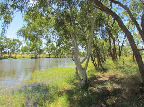 Camooweal Caves National Park - Accommodation QLD 1