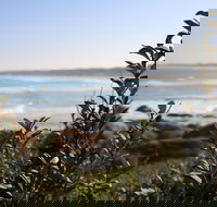 Cape Conran Coastal Park - Accommodation QLD