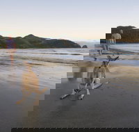 Cape Hillsborough National Park - Accommodation QLD