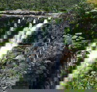 Carrington Falls - Accommodation QLD