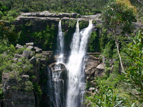 Carrington Falls - Accommodation QLD 0
