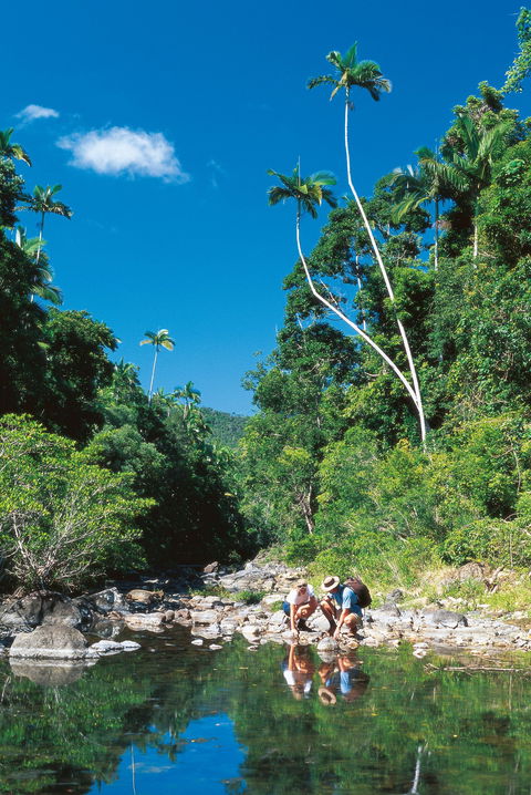 Cedar Creek Falls - Accommodation QLD 2