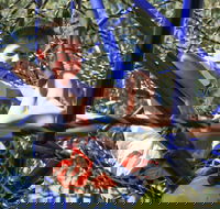 City Park - Accommodation QLD