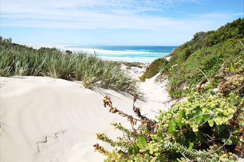 Coffin Bay National Park - Accommodation QLD 1