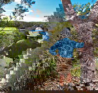 Corkwood and Scribbly Gum Walking Track - Accommodation QLD