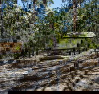 Couridjah Corridor Walk - Accommodation QLD