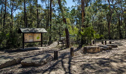 Couridjah Corridor Walk - Accommodation QLD 0