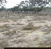Culgoa Connellys Track - Accommodation QLD